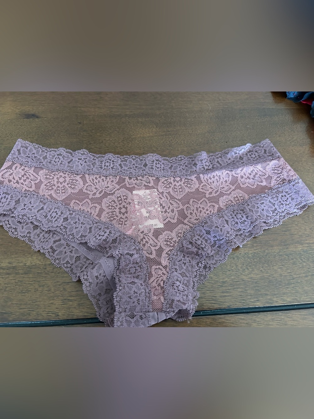 Victoria’s Secret  Lace Hipster Panty in Dusty Mauve